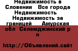 Недвижимость в Словении - Все города Недвижимость » Недвижимость за границей   . Амурская обл.,Селемджинский р-н